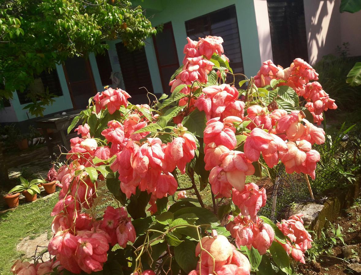 Villy'S Cottage North End Esterno foto